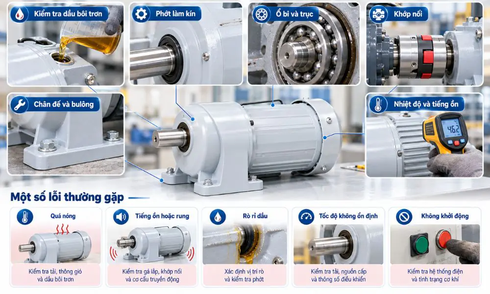 Động cơ giảm tốc – hình 5